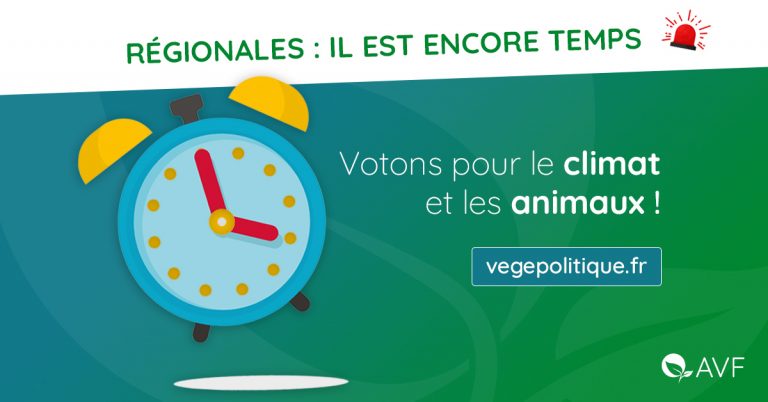 Affiche de l'AVF incitant à voter pour les élections régionales.