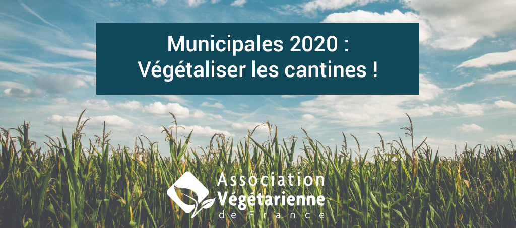 Affiche de l'AVF pour les municipales 2020.