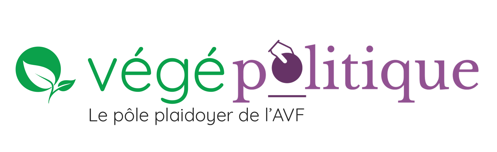 Végépolitique